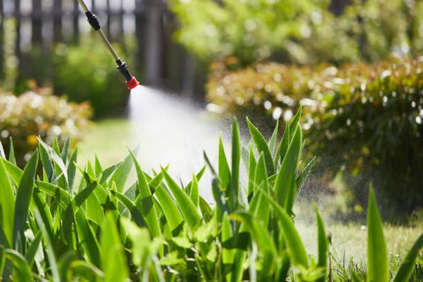24/7 Emergency Fumigation Services experts in Robinson, IL