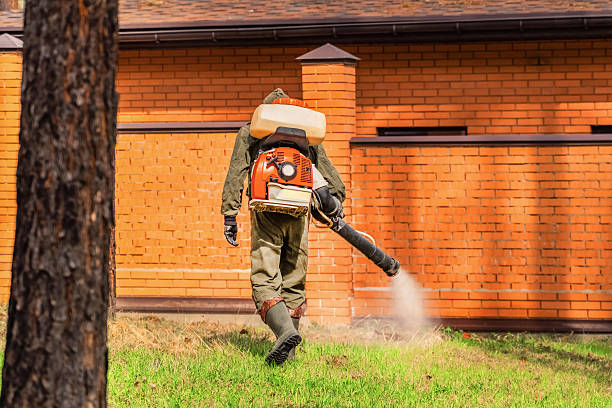 Trusted Mosquito Control service in Robinson, IL - Nex Pest Control